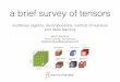 A brief survey of tensors