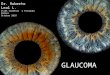 GLAUCOMA clasificación y fisiopatología