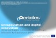 PERICLES Encapsulation and Digital Ecosystem
