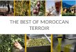 The Best of Moroccan Terroir