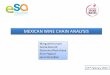 Mexican Wine Chain Analysis