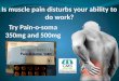 Pain-O-Soma Is An Effective Option For Muscle Pain