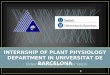 Internship of plant physiology department in universitat de