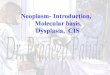 Neoplasm  introduction, molecular basis, dysplasia,  cis