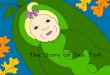 The Story of Pea Pod 2014-07-11 16_35