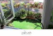 Gifting Plants - Putush