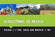 Ecosistema de Mexico. Arecifes