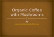 Organic Coffee with Mushrooms
