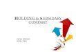 Holding & subsidary Company