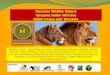 Tanzania Wildlife Safaris, Tanzania Safari Vehicles, Safari Kenya and Tanzania Tours by Kipepeo Tours