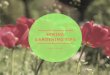 Lidia Scinski - Spring Gardening Tips