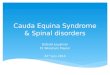 Cauda equina syndrome - Dafydd Loughran