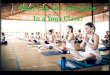 Yoga Classes in Noosaville