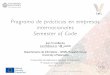 Programa de prácticas en empresas internacionales - Semester of Code