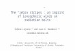 The zebra stripes: an imprint of ionospheric winds on radiation belts