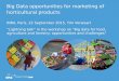 SC2 Workshop 1: Big Data opportunities for marketing of horticultural products