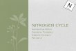 Nitrogen cycle PERIOD 4