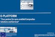 SPRI. E-platform "your partner for nano-enable composites solucions and services