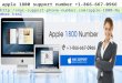 Apple 1800 support number +1 866-667-0966