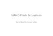NAND Flash Eco System