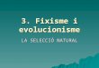 3 fixisme i evolucionisme-2011