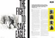 Fight to Save Eagle (ODA 9224)