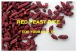 Red yeast rice/ Monascus purpureus/ Monacolin K/ naturally occurring statin/ lower cholesterol and triglyceride levels