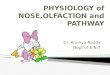 Physiology of nose, olfaction and pathway