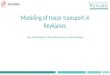 A1 Modeling of tracer transport in Reykjanes Jean Claude Berthet
