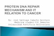 Protein DNA repair