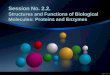 Session no. 2.2. biological molecules proteins and enzymes