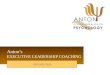 business case for Anton’s Executive Leadership Coaching 2013