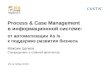 Process и Case Management в информационной системе: от автоматизации As Is к поддержке развития бизнеса