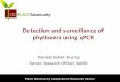 Detection and surveillance of phylloxera using qPCR