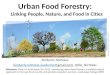 Urban food forestry: Linking people, nature, and food in cities