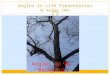 Angles In Life Presentation