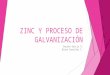Zinc y proceso de galvanización
