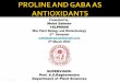 PROLINE AND GABA AS ANTIOXIDANTS
