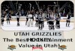 Grizzlies Ticket package presentation.2016-17