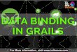 Data Binding in Grails