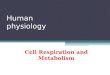 Cell respiration and metabolism