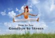 How to Live a Stress Free Life