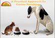 A Practical Approach To Canine Nutrition