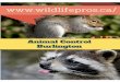 Effective animal control services burlington | wildlife pros