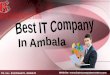 IT Company in Ambala ! Batra Computer Centre