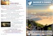 Saviour's Chimes Church Newsletter - January 2017