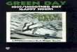 Green day   1000 smoothed out slappy hours