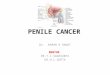 penile cancer CA PENIS