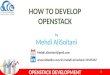 How to Develop OpenStack
