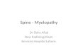 Spine   myelopathy